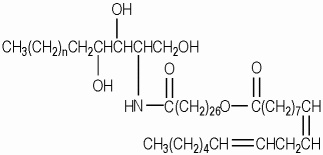 Ceramide 1 A