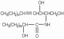 Ceramide 4