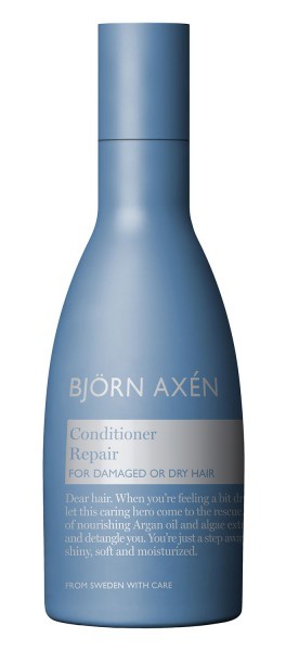 Björn Axén Repair Conditioner