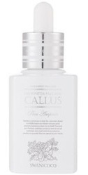 Swanicoco Neofinetia Falcata Callus Pure Ampoule