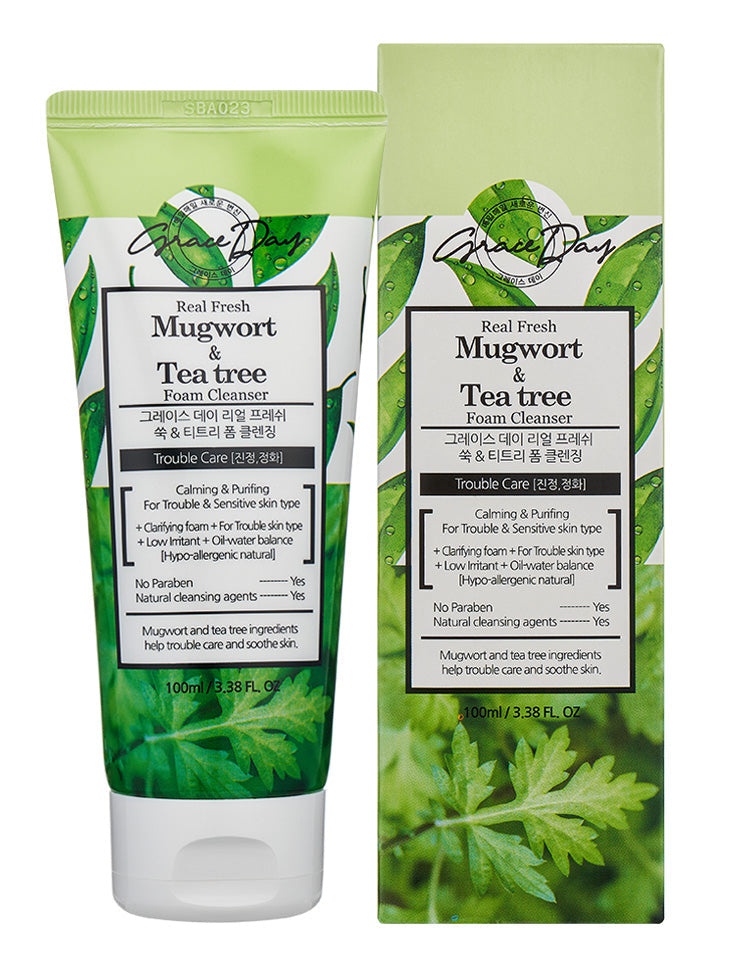 grace day Real Fresh Mugwort & Tea Tree Foam Cleanser